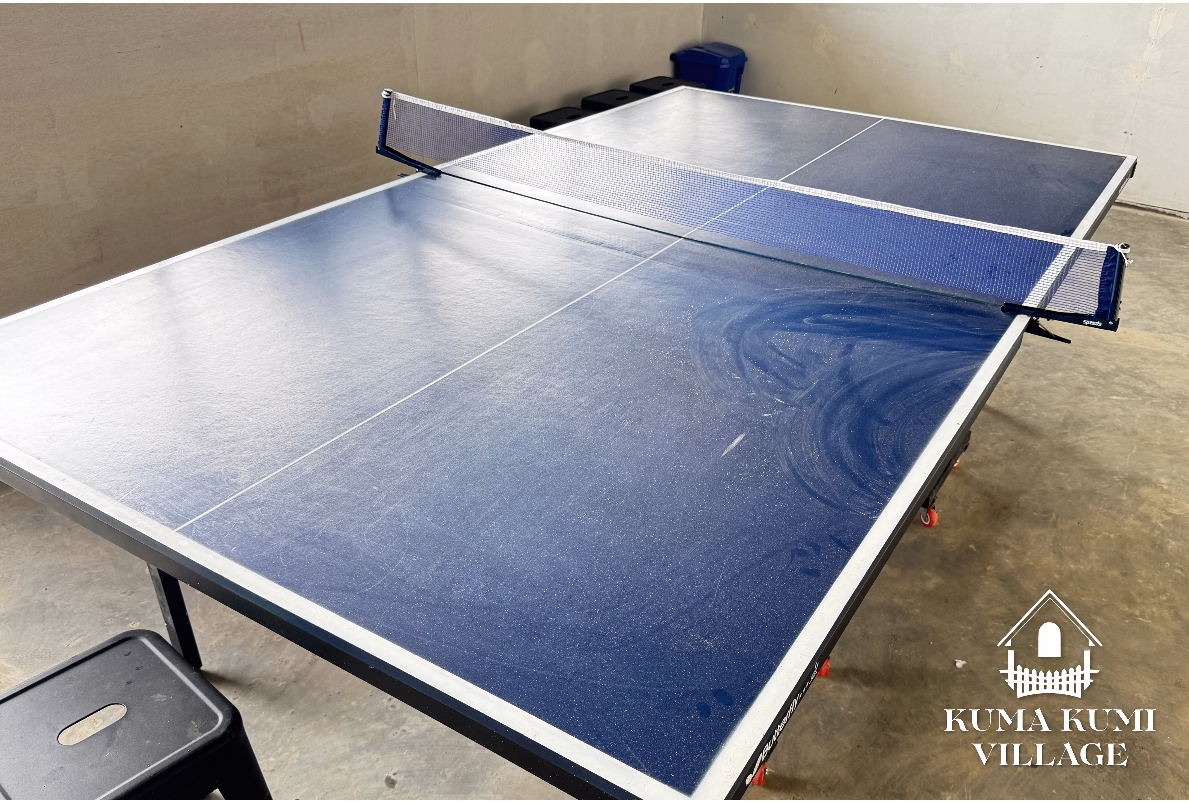 Area Tenis Meja Ping Pong