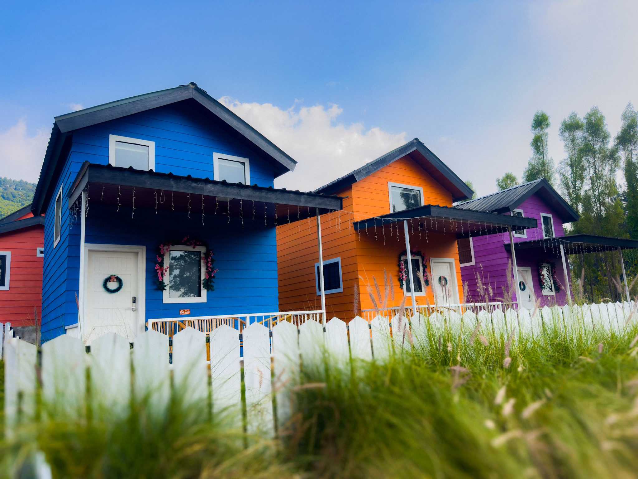 Kisah di Balik Kabin Warna-Warni Kuma Kumi Village